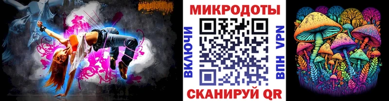 Псилоцибиновые грибы Psilocybe Спасск-Рязанский
